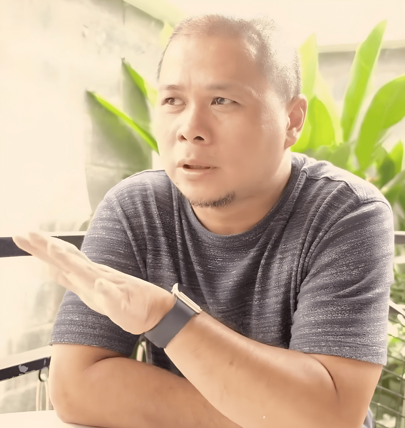 Việt Anh